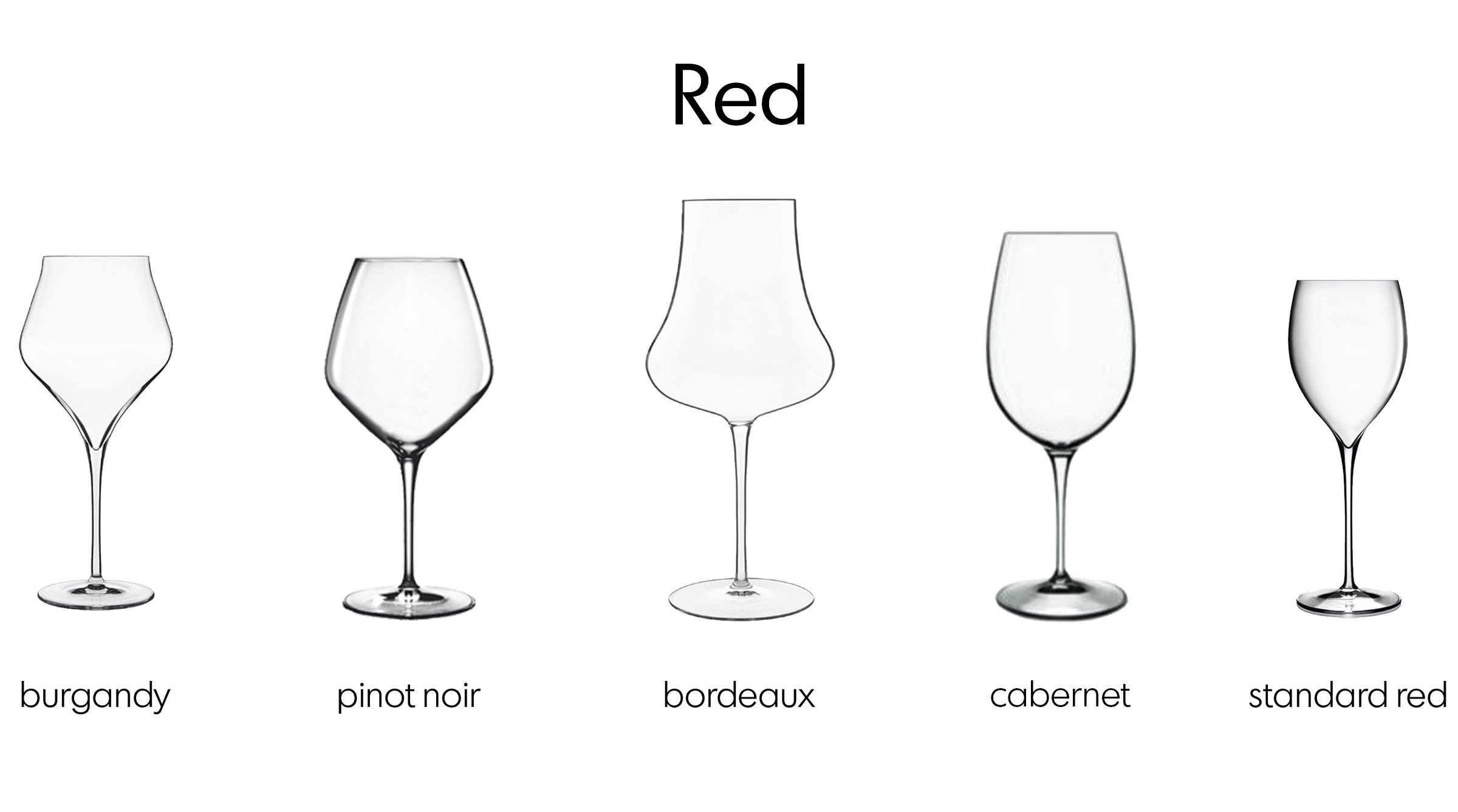 BauscherHepp's Guide to Wine Glasses